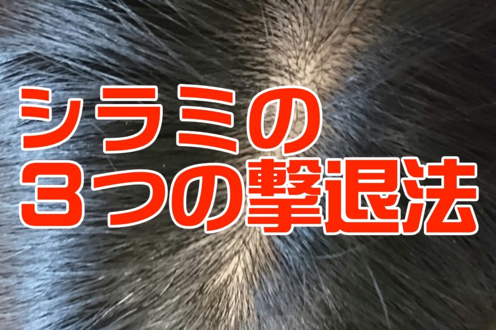 シラミって フケとシラミの区別って何 先ずは焦らずに読んでください 撃退法を３つご紹介します 髪質性格診断と世界大会や美容師歴２０年の経験と研究